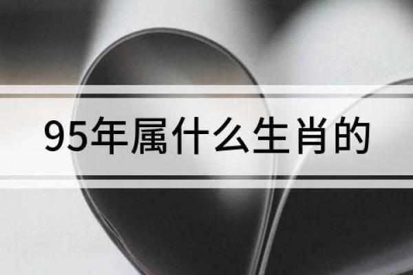 95年属啥  词语释义解释落实