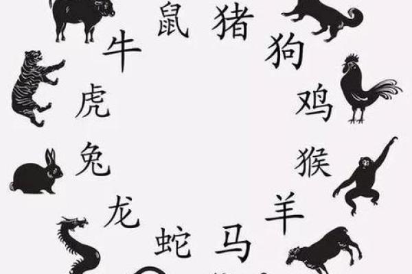 高人一等什么生肖  词语释义解释落实