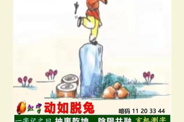 坐井观天打一生肖  词语释义解释落实