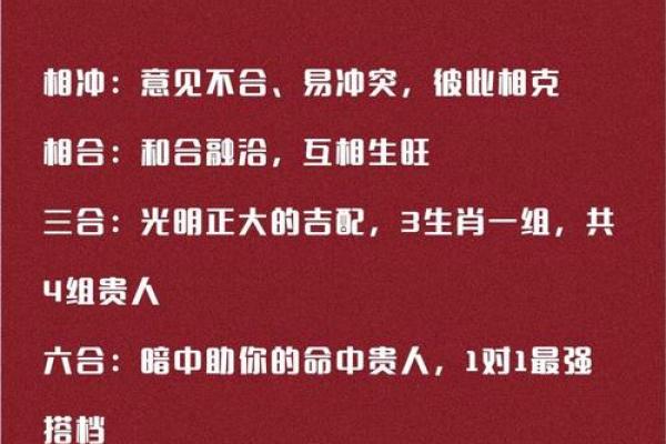 志同道合打一个生肖  词语释义解释落实