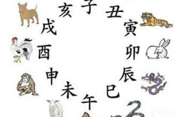 巴山夜雨对应的生肖动物解析  