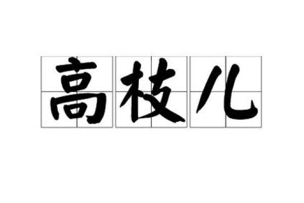 如痴如醉打一生肖  词语释义解释落实