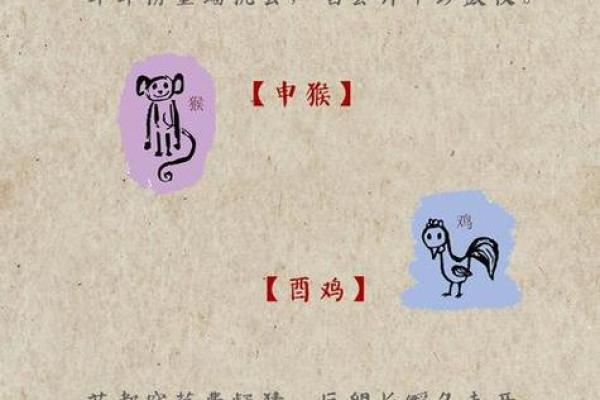 1980年属相  词语释义解释落实