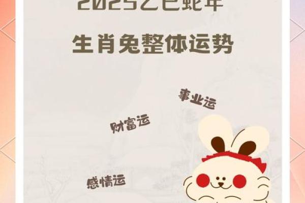 1994年狗和1987年兔下半年结婚吉日选择，需要注意哪些生肖相冲因素