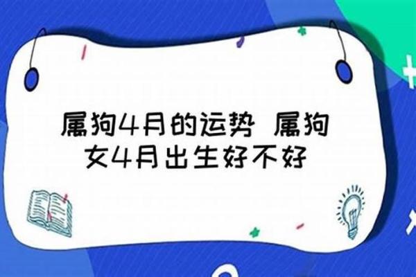 1994年狗和1987年兔下半年结婚吉日选择，需要注意哪些生肖相冲因素