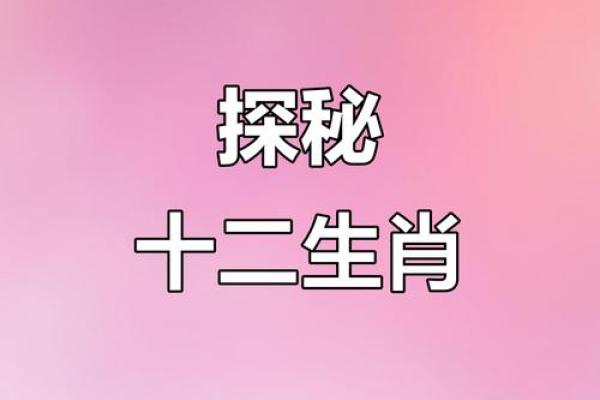 见异思迁在十二生肖中象征哪个动物性格特点  