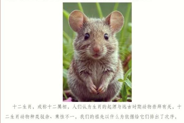 见异思迁在十二生肖中象征哪个动物性格特点  