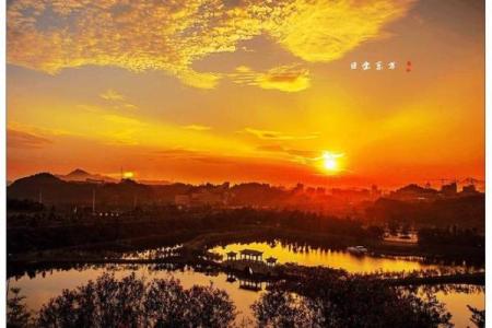 日出东方照大地对应的生肖是什么及其寓意解析  