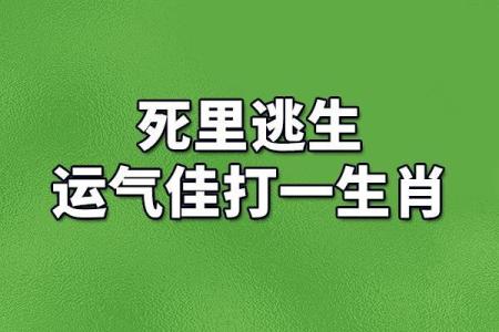 忍辱负重打一个生肖是什么意思  