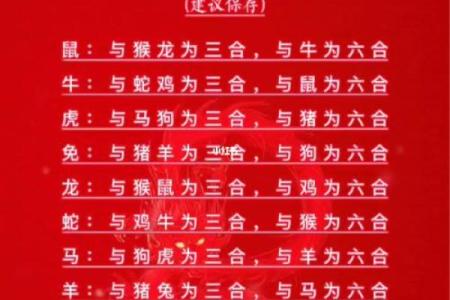 属羊的婚姻配对最佳属相和需要避开的相克属相有哪些  