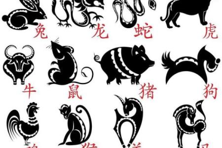 九九归一在十二生肖中代表哪个动物  
