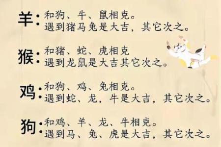 形影不离指的是哪个生肖动物  