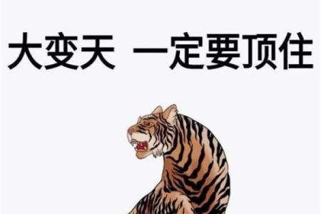 贪婪成性的生肖有哪些性格特点和运势影响  