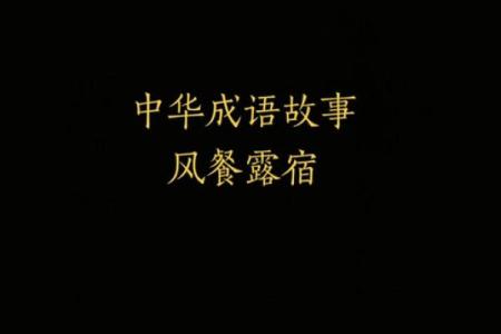 风餐露宿打一生肖是什么答案及详细解析  