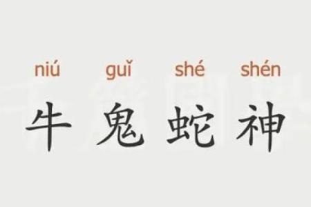 家徒四壁打一生肖的谜底是什么  