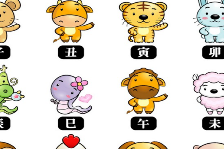绿叶成荫打一生肖  词语释义解释落实