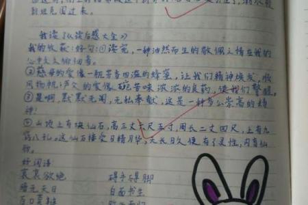 暗无天日打一生肖  词语释义解释落实