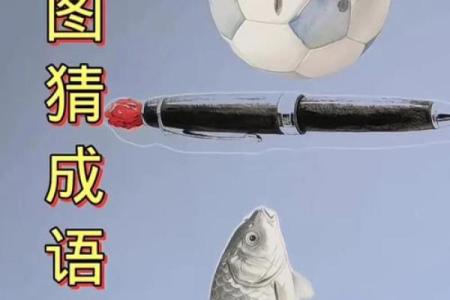 装死卖活猜一肖的谜底是什么 如何解析这个谜语  