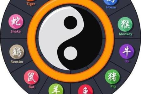 无发无天打一个生肖是什么意思怎么解答  
