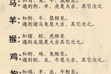 两雄相争最佳生肖配对结果及运势解析  