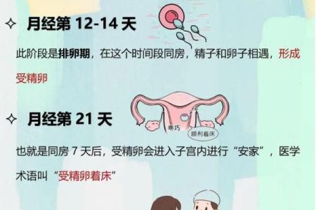 2026年1月最佳受孕日期是哪几天，如何科学备孕