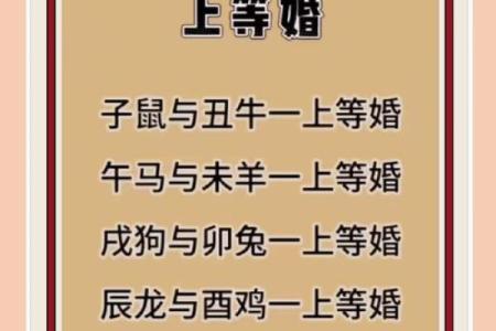 青梅竹马最佳生肖配对解析与爱情运势  