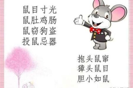鼠牙雀角打一生肖的准确答案和详细解析  