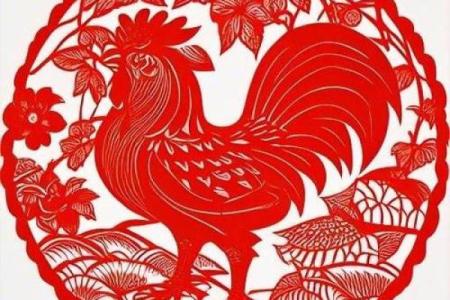 披荆斩棘代表什么生肖 具体含义和象征解析  