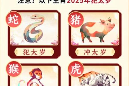夺人之爱对应的生肖是什么怎么解释  