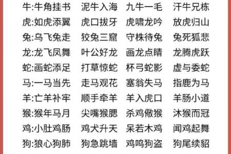 一日之长是什么生肖  词语释义解释落实