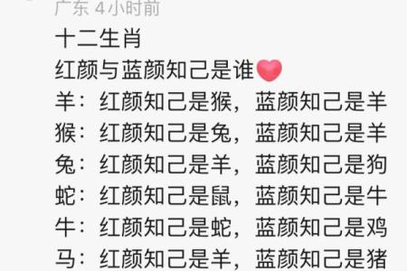 红颜知己是什么生肖  词语释义解释落实