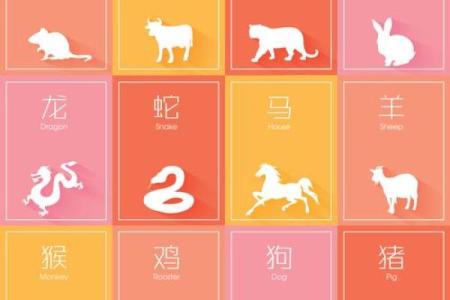 登堂入室在十二生肖中代表哪个动物  