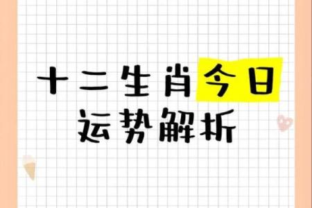 今岁西落背世盟对应的生肖运势解析及破解方法  