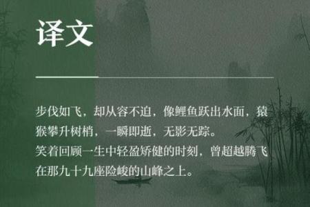 步履如飞是什么生肖  词语释义解释落实