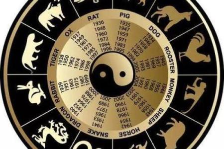 听其自流是什么生肖  词语释义解释落实