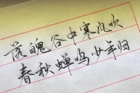 白头少年打一生肖的谜底是什么  