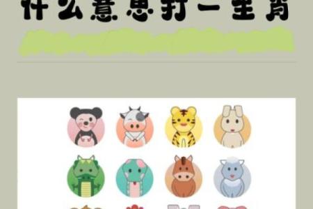 十二生肖中哪个代表干干净净的特质  