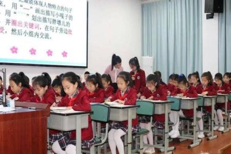 五讲四美指什么生肖  词语释义解释落实