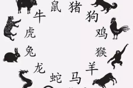 高人一等什么生肖  词语释义解释落实