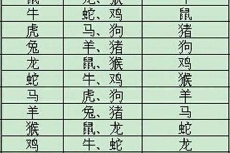 付之一炬对应的生肖动物是哪个  