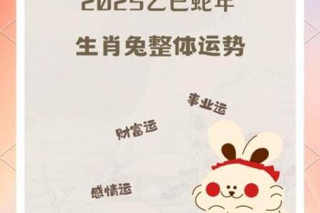 1994年狗和1987年兔下半年结婚吉日选择，需要注意哪些生肖相冲因素