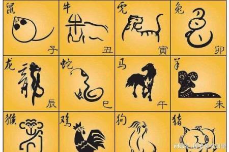 野外风光什么生肖打一生肖  词语释义解释落实