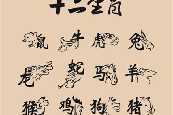 大年初一是什么生肖  词语释义解释落实