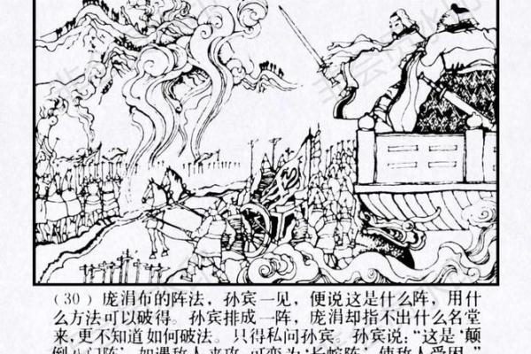 孙庞斗智指什么生肖  词语释义解释落实