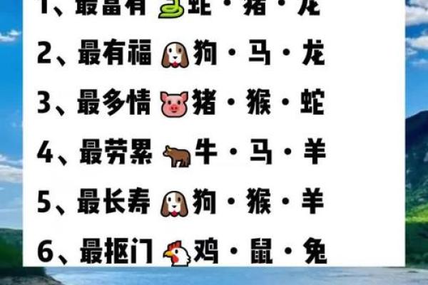 眼花缭乱形容哪个生肖最贴切  