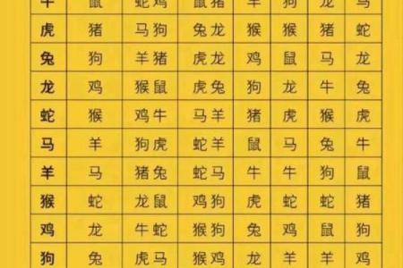 皓月千里对应的生肖动物及其寓意解析  