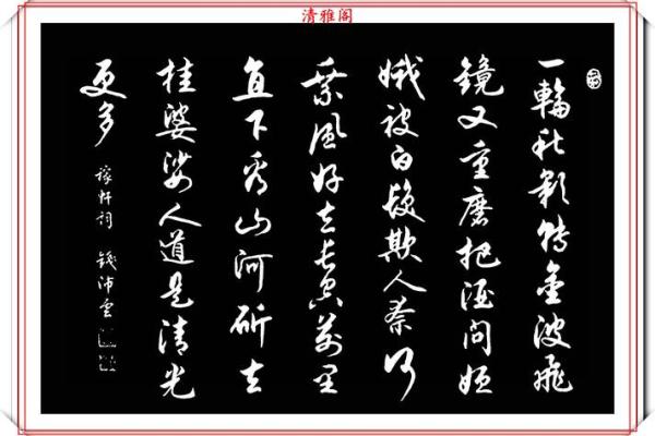 1946年属什么  词语释义解释落实