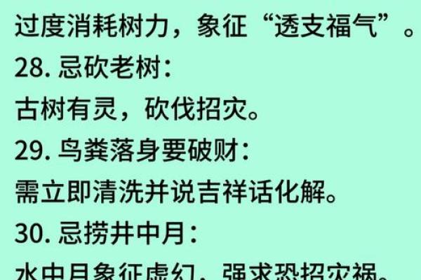 逍遥法外打一生肖  词语释义解释落实