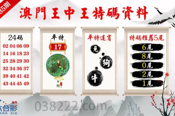 二八追求五迟疑是什么生肖  词语释义解释落实
