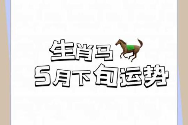 手机特马猜生肖的谜底是什么生肖  